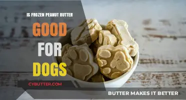 Frozen Peanut Butter: A Safe and Healthy Dog Treat?