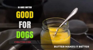 Is Ghee Butter Safe and Beneficial for Your Dog's Health?