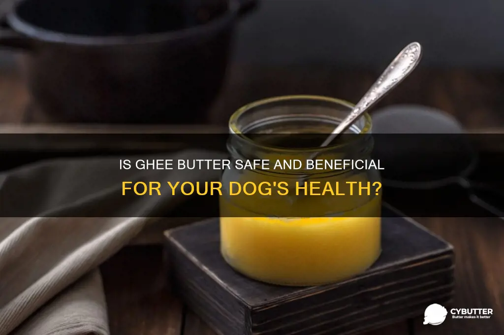 is ghee butter good for dogs