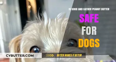 Is Good & Gather Peanut Butter Safe for Dogs? Find Out!