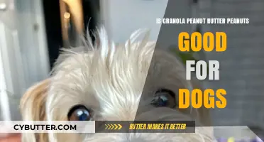 Is Granola Peanut Butter Safe for Dogs? A Nutty Guide