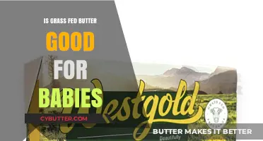 Is Grass-Fed Butter Safe and Nutritious for Your Baby?