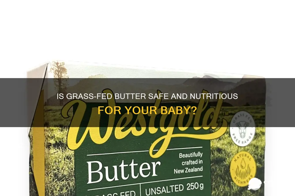 is grass fed butter good for babies