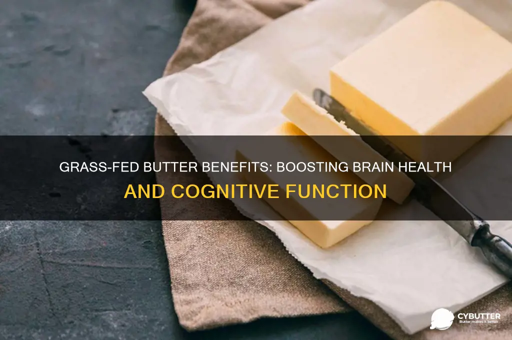 is grass fed butter good for your brain