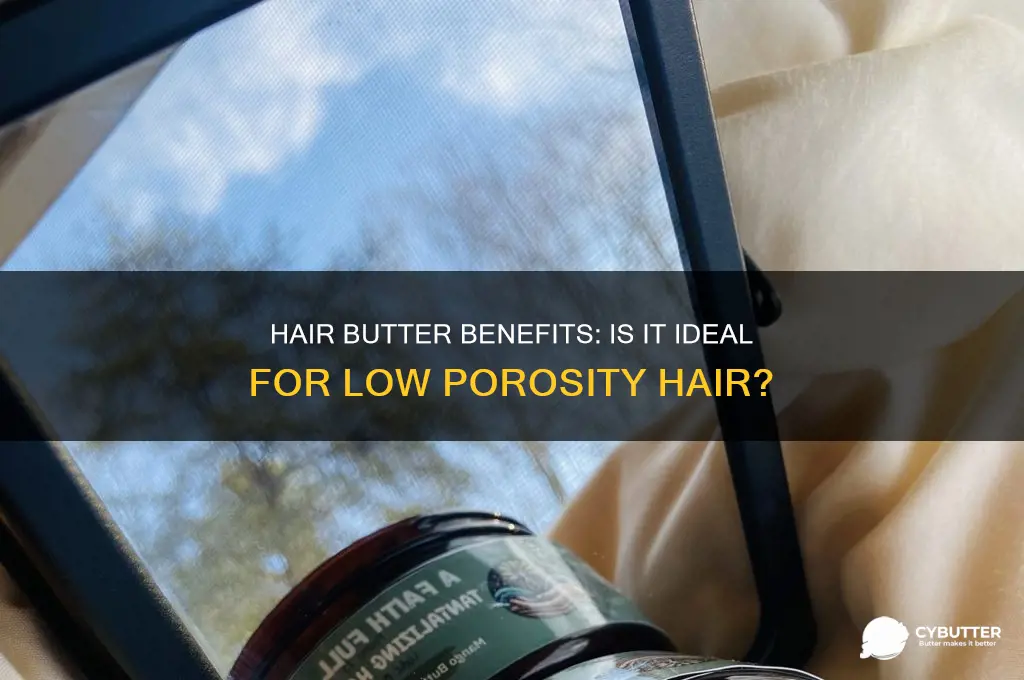 is hair butter good for low porosity hair