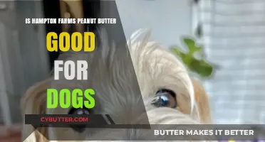 Is Hampton Farms Peanut Butter Safe and Healthy for Dogs?