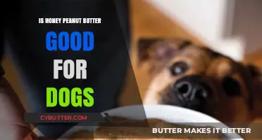 Is Honey Peanut Butter Safe for Dogs? A Complete Guide