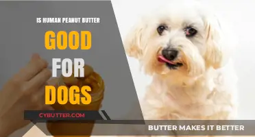 Can Dogs Safely Eat Human Peanut Butter? A Complete Guide