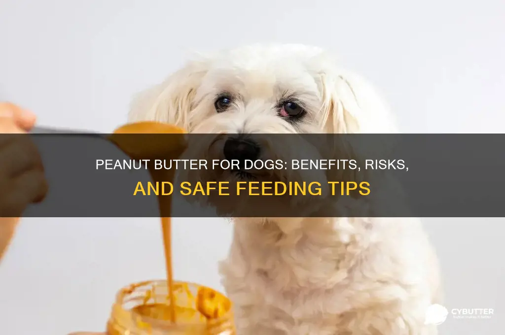 is it good to feed a dog peanut butter