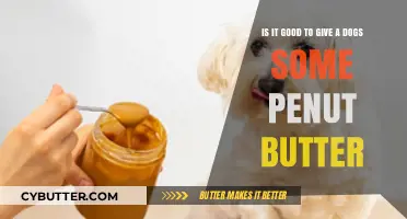 Peanut Butter for Dogs: Healthy Treat or Hidden Danger?
