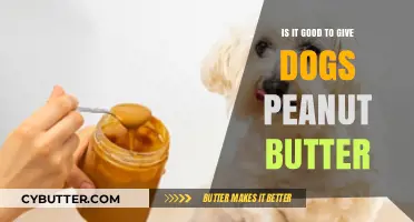Peanut Butter for Dogs: Benefits, Risks, and Safe Feeding Tips