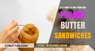 Peanut Butter Sandwiches for Dogs: Healthy Treat or Hidden Danger?