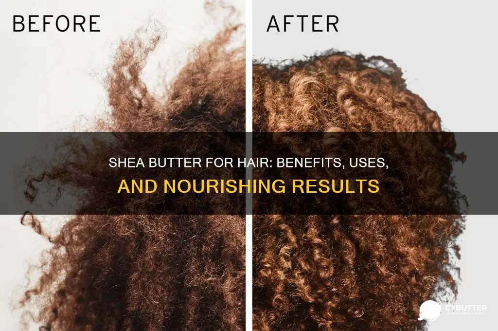 is it good to put shea butter in your hair