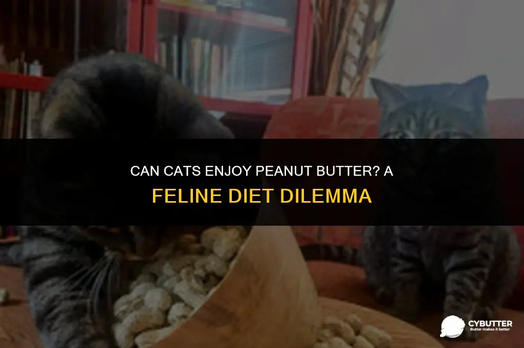 is it ok for cats to eat peanut butter
