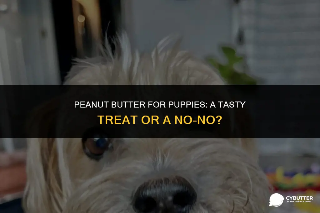is it okay to give a puppy peanut butter