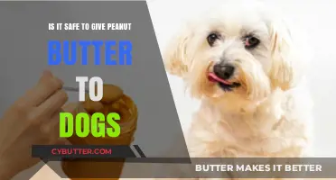 Can Dogs Eat Peanut Butter? A Comprehensive Guide for Pet Owners