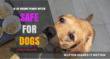 Can Dogs Enjoy Jif Creamy Peanut Butter Safely?