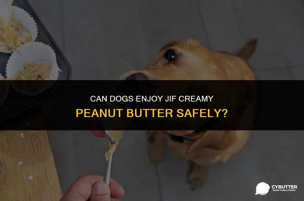 is jif creamy peanut butter safe for dogs