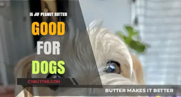 Is Jif Peanut Butter Safe for Dogs? A Complete Guide