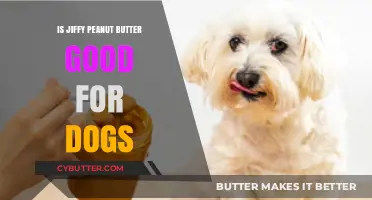 Is Jiffy Peanut Butter Safe and Healthy for Dogs?