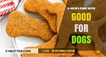 Is Justin's Peanut Butter Safe and Healthy for Dogs?
