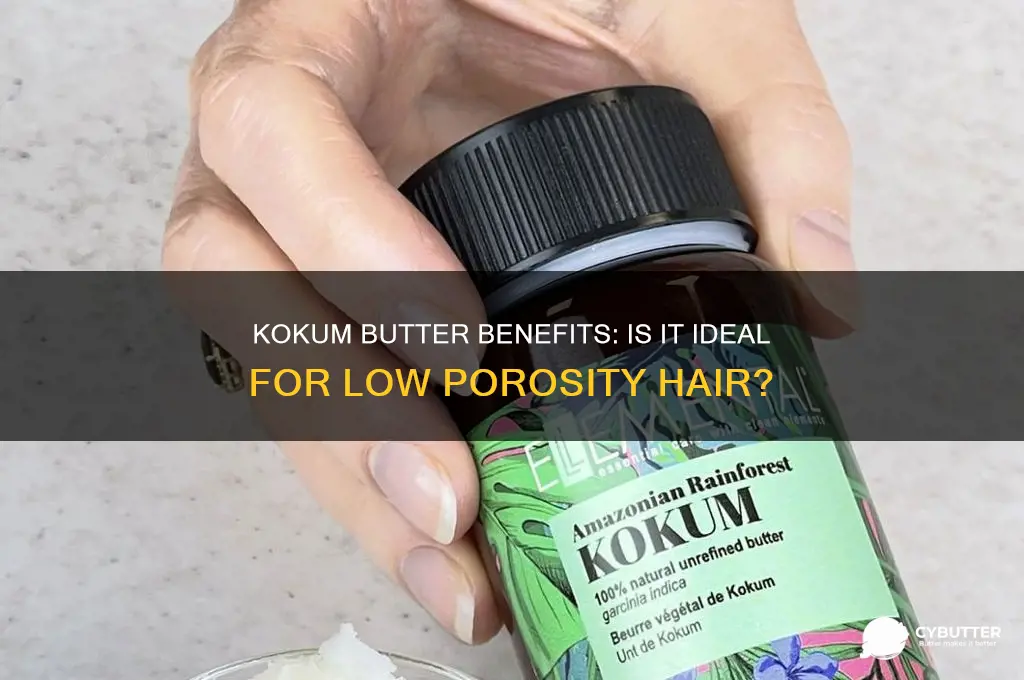 is kokum butter good for low porosity hair