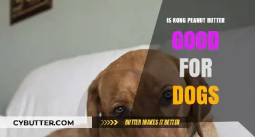 Is Kong Peanut Butter Safe and Healthy for Your Dog?