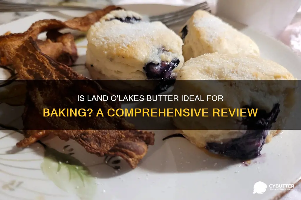 is land o lakes butter good for baking
