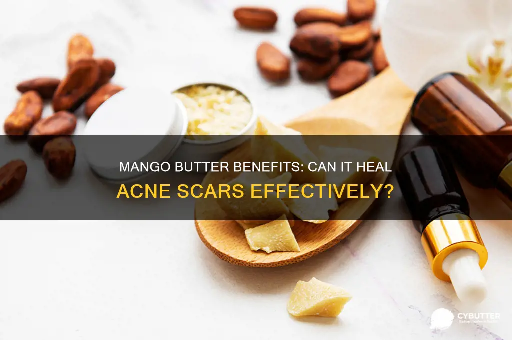 is mango butter good for acne scars
