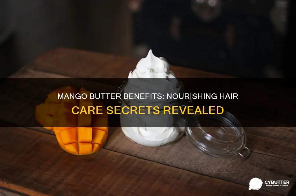 is mango butter good for hair