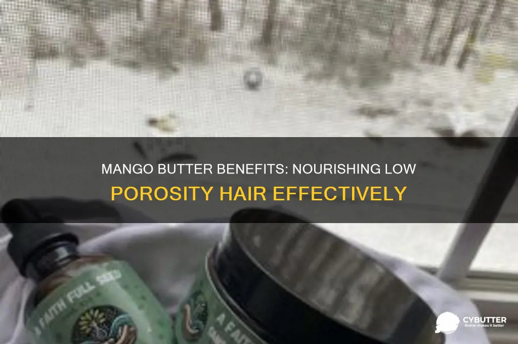 is mango butter good for low porosity hair
