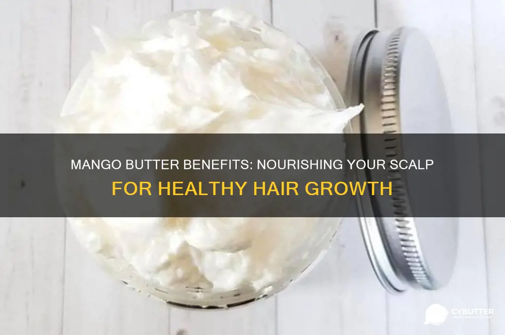 is mango butter good for scalp