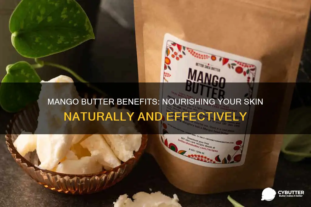is mango butter good for skin