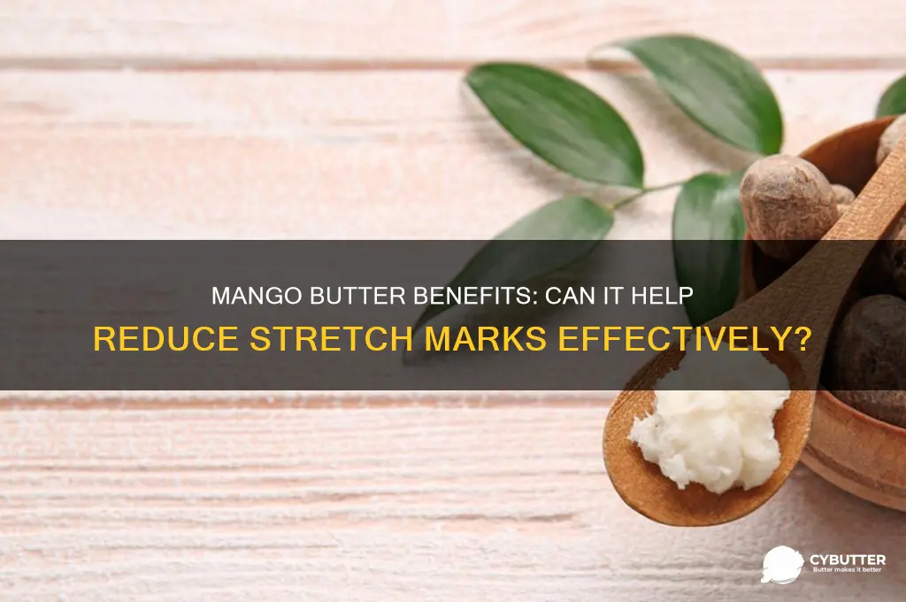 is mango butter good for stretch marks