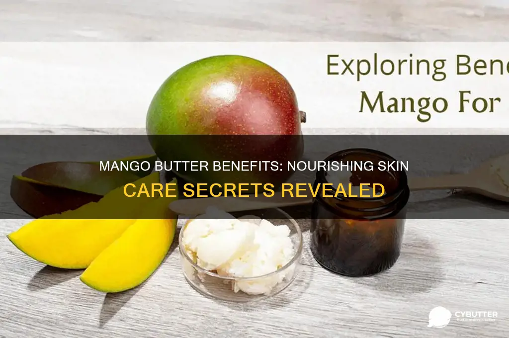 is mango butter good for the skin