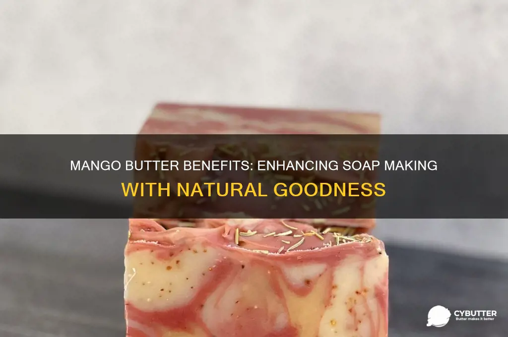 is mango butter good in soap making