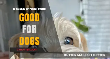 Is Natural Jif Peanut Butter Safe for Dogs? A Complete Guide