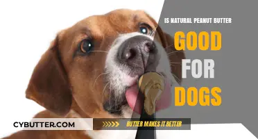 Is Natural Peanut Butter Safe and Healthy for Your Dog?