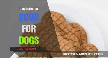 Can Dogs Eat Nutter Butter? Safety and Health Considerations