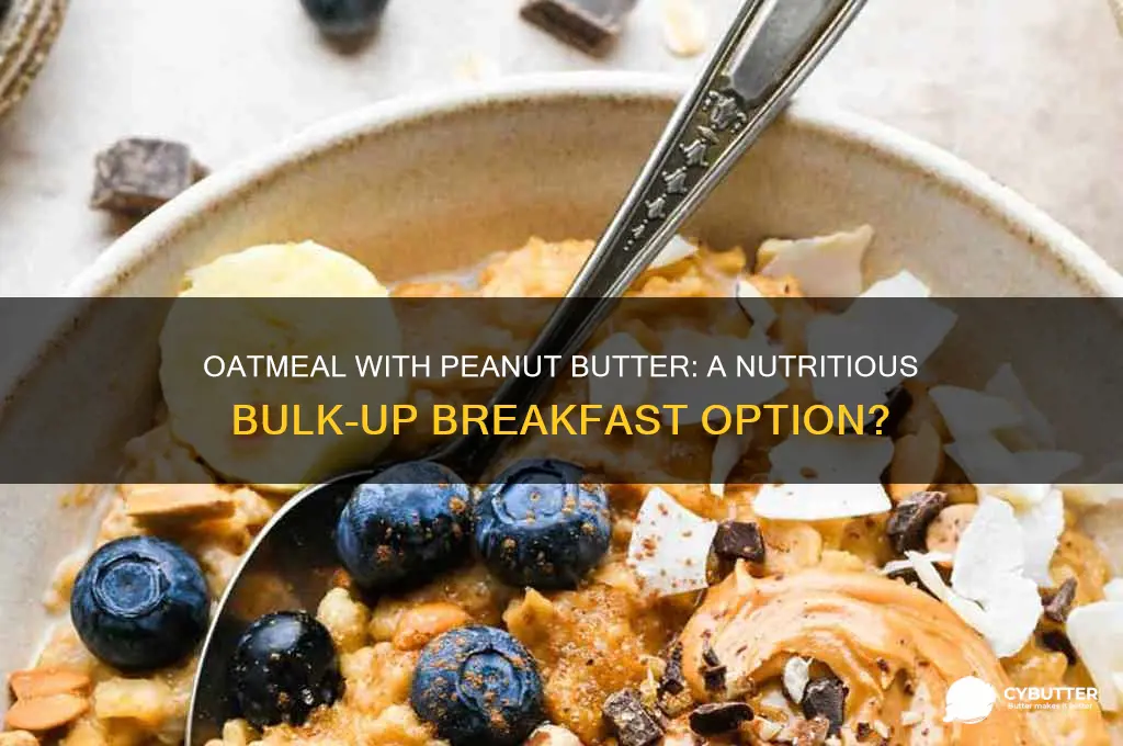 is oatmeal with peanut butter good bulk