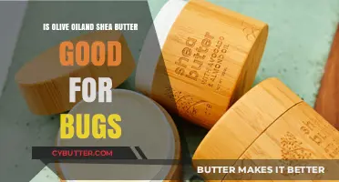 Olive Oil and Shea Butter: Effective Bug Repellents or Myths?