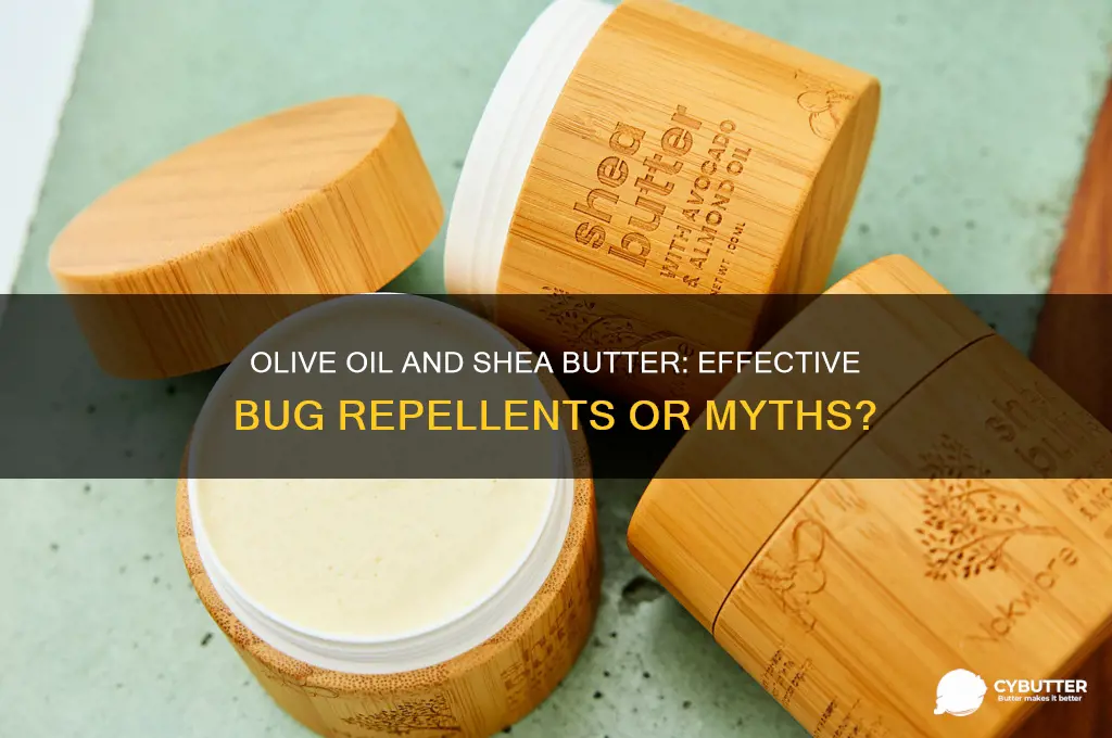 is olive oiland shea butter good for bugs