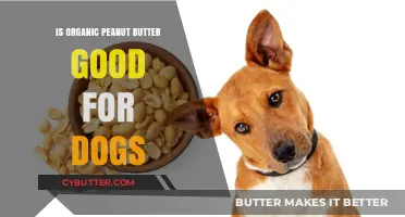 Is Organic Peanut Butter Safe and Healthy for Your Dog?