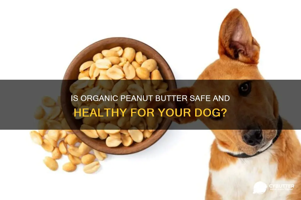 is organic peanut butter good for dogs