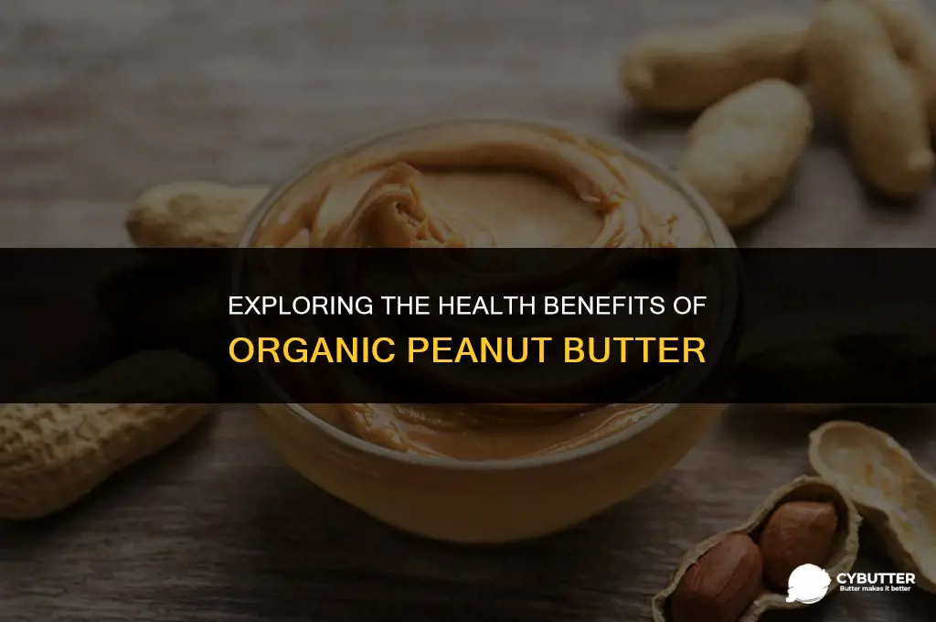 is organic peanut butter healthy