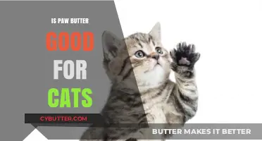 Is Paw Butter Safe for Cats? Benefits and Risks Explained
