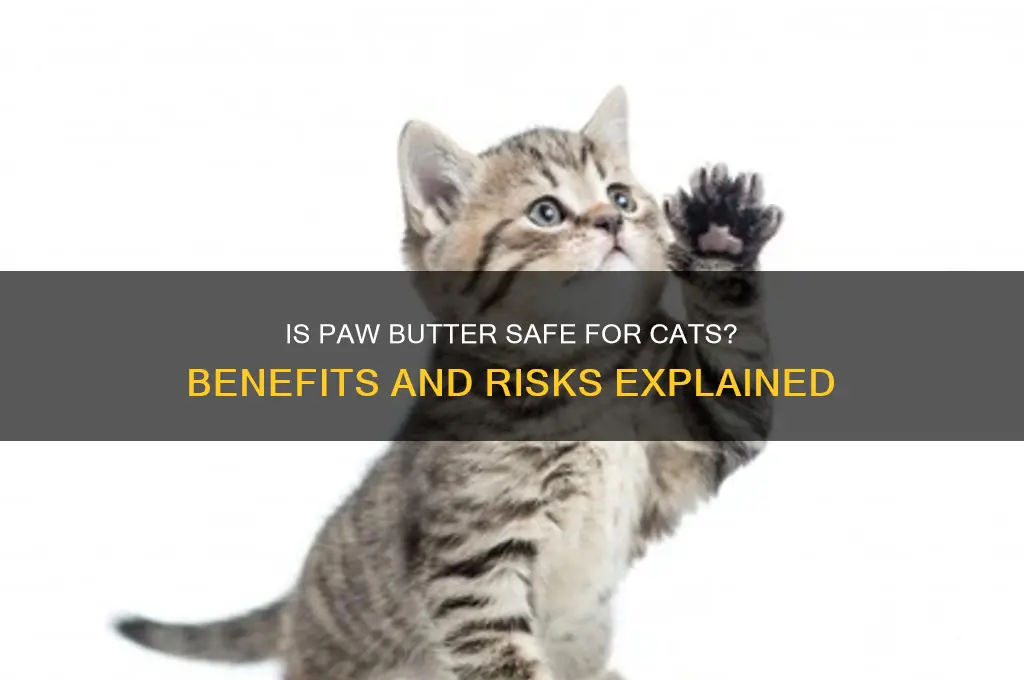 is paw butter good for cats
