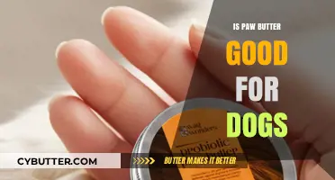 Is Paw Butter Safe and Beneficial for Your Dog's Paws?