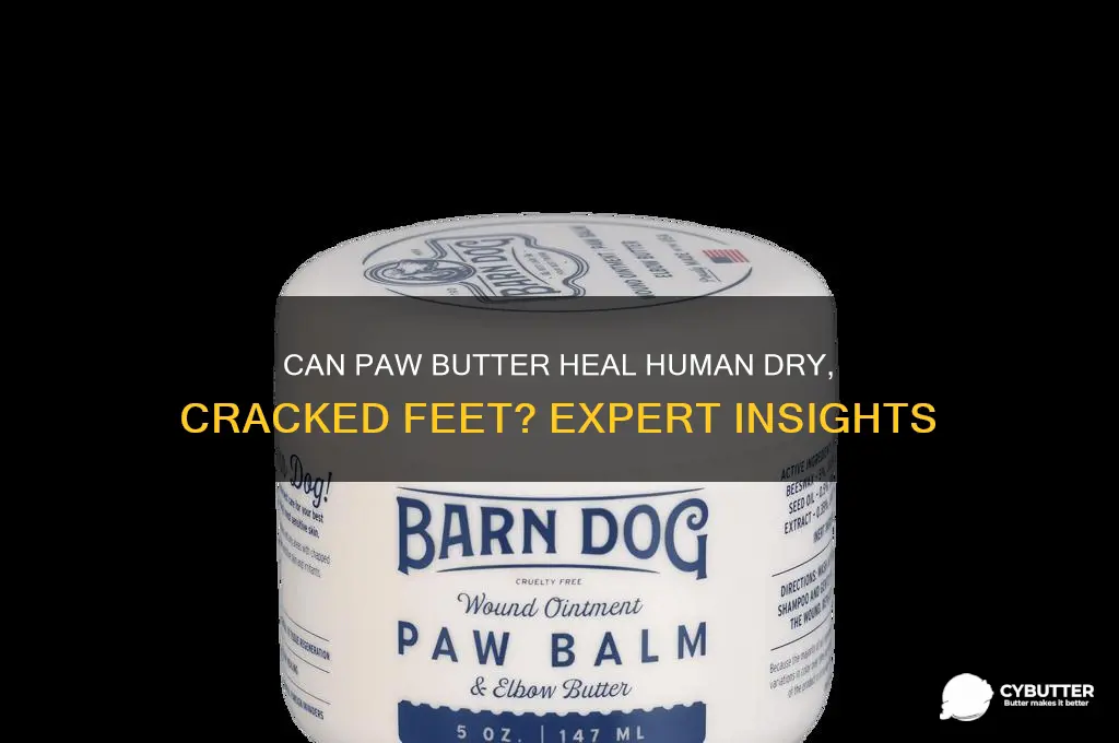 is paw butter good for human dry cracked feet
