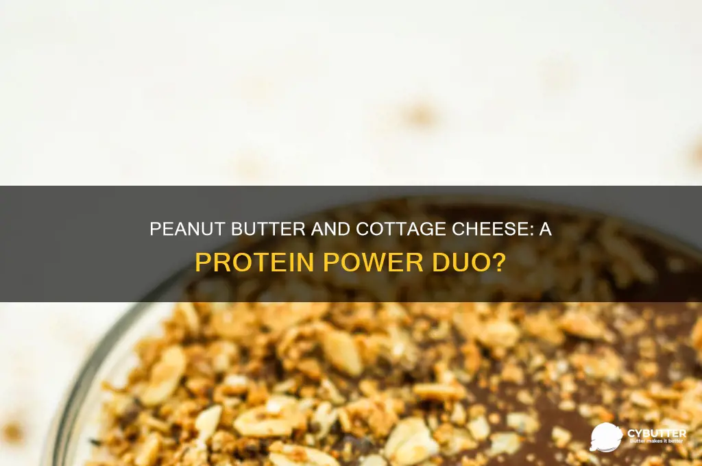 is peanit butter an cottage cheesr a good protein